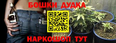 крисы Балахна