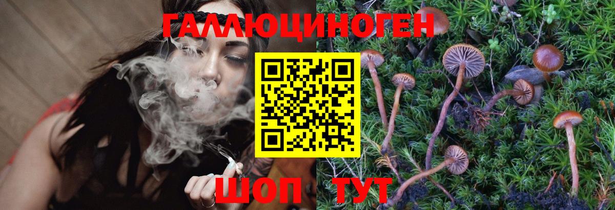 Галлюциногенные грибы Psilocybine cubensis Гай