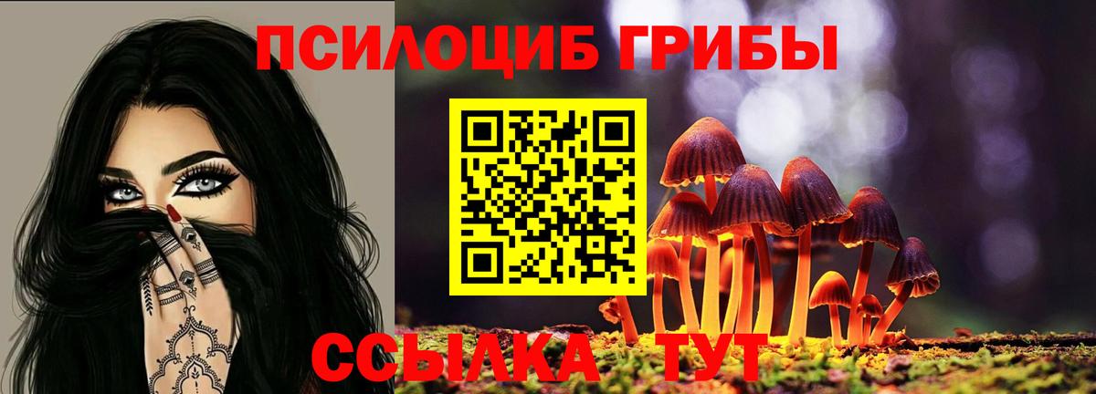 Галлюциногенные грибы GOLDEN TEACHER  Вход с VPN  Гай 